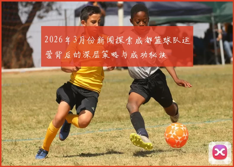 2026年3月份新闻探索成都篮球队运营背后的深层策略与成功秘诀