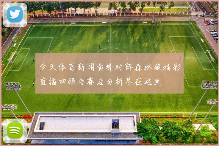 今天体育新闻黄蜂对阵森林狼精彩直播回顾与赛后分析尽在这里